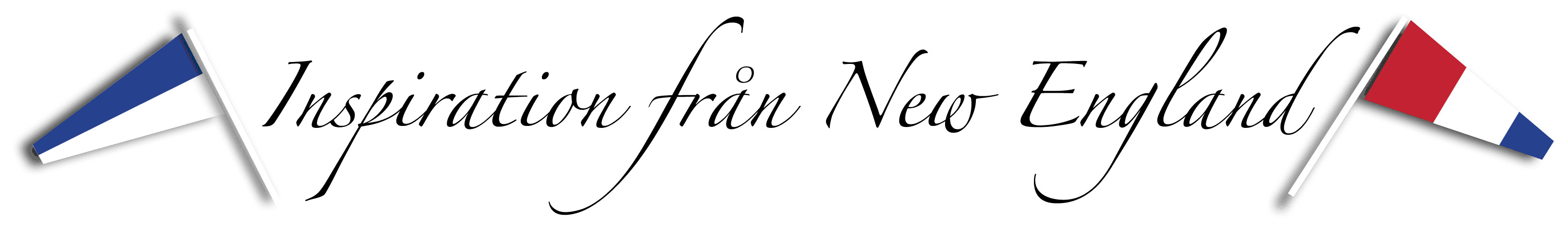 I.F.N.E.logo