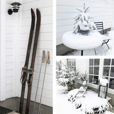 VINTER I NEW ENGLAND